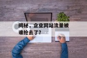 揭秘,企业网站流量被谁抢去了? 揭秘,企业网站流量被谁抢去了?