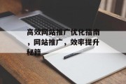 高效网站推广优化指南,网站推广,效率提升秘籍 高效网站推广优化指南,网站推广,效率提升秘籍