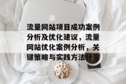 流量网站项目成功案例分析及优化建议,流量网站优化案例分析,关键策略与实践方法分享 流量网站项目成功案例分析及优化建议,流量网站优化案例分析,关键策略与实践方法分享