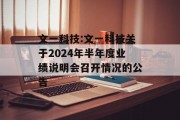 文一科技:文一科技关于2024年半年度业绩说明会召开情况的公告 文一科技:文一科技关于2024年半年度业绩说明会召开情况的公告