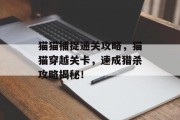 猫猫捕捉通关攻略，猫猫穿越关卡，速成猎杀攻略揭秘！