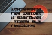 互联网营销中的网站推广策略,互联网营销实战,精准推广网站策略,互联网营销,网站推广策略与实战分析 互联网营销中的网站推广策略,互联网营销实战,精准推广网站策略,互联网营销,网站推广策略与实战分析