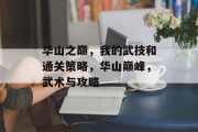 华山之巅,我的武技和通关策略,华山巅峰,武术与攻略 华山之巅,我的武技和通关策略,华山巅峰,武术与攻略