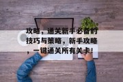 攻略,通关新手必备的技巧与策略,新手攻略,一键通关所有关卡!