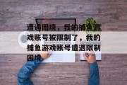 遭遇困境，我的捕鱼游戏账号被限制了，我的捕鱼游戏账号遭遇限制困境