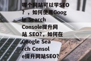 哪个网站可以学SEO?,如何使用Google Search Console提升网站 SEO?,如何在Google Search Console提升网站SEO?