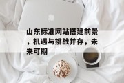 山东标准网站搭建前景,机遇与挑战并存,未来可期 山东标准网站搭建前景,机遇与挑战并存,未来可期