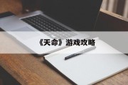 《天命》游戏攻略