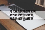 河北企业网站搭建公司助力企业数字化转型，开启网络营销新篇章