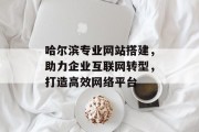 哈尔滨专业网站搭建,助力企业互联网转型,打造高效网络平台 哈尔滨专业网站搭建,助力企业互联网转型,打造高效网络平台