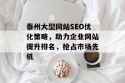 泰州大型网站SEO优化策略，助力企业网站提升排名，抢占市场先机