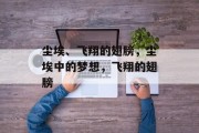 尘埃、飞翔的翅膀,尘埃中的梦想,飞翔的翅膀 尘埃、飞翔的翅膀,尘埃中的梦想,飞翔的翅膀