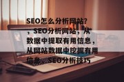 SEO怎么分析网站?,SEO分析网站,从数据中提取有用信息,从网站数据中挖掘有用信息,SEO分析技巧