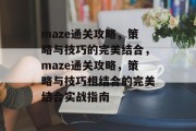 maze通关攻略，策略与技巧的完美结合，maze通关攻略，策略与技巧相结合的完美结合实战指南