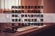 网站查看流量的重要性及其应用,网站流量,理解、使用与提升的关键要素,网站流量,理解、使用与提升的关键要素 网站查看流量的重要性及其应用,网站流量,理解、使用与提升的关键要素,网站流量,理解、使用与提升的关键要素