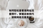 如何轻松查看各网站流量排行,掌握这些技巧,洞察网络流量奥秘 如何轻松查看各网站流量排行,掌握这些技巧,洞察网络流量奥秘