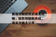 最强烧脑新挑战通关攻略,极致烧脑新挑战,通关攻略大公开