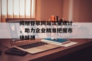 揭秘谷歌网站流量统计,助力企业精准把握市场脉搏 揭秘谷歌网站流量统计,助力企业精准把握市场脉搏