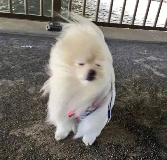 破纪录!断崖式下跌来了!上海人做好准备,这波真的猛…