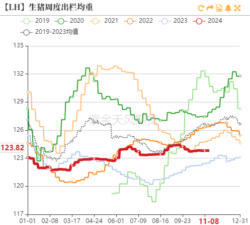 生猪:如何看待11月下半月行情?