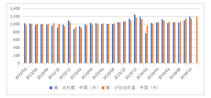 生猪:如何看待11月下半月行情?