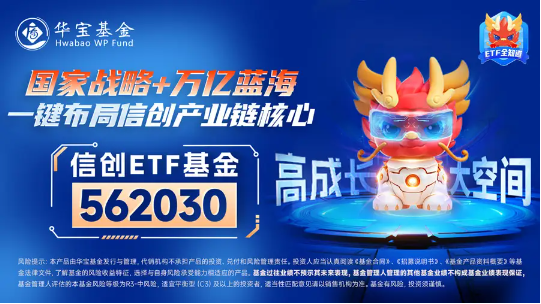 坐看云起时?信创ETF基金(562030)标的指数本轮累涨67%!国家数据基础设施建设迎大消息!
