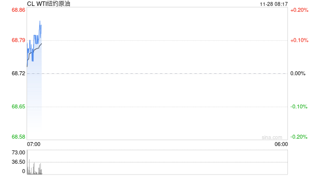美国WTI原油周三小幅收跌 市场关注黎以停火协议