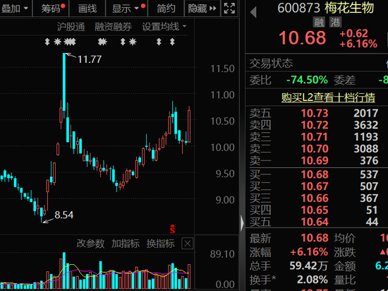 300378,AI收入暴增超102%!机构密集关注