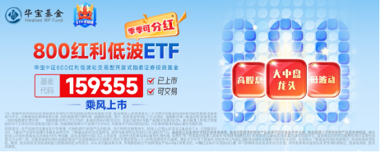 能守亦可攻!全市场唯一800红利低波ETF(159355)放量收涨1.67%,上市以来超额表现突出