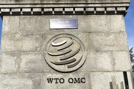 世贸组织:2024年第四季度全球货物贸易温和增长