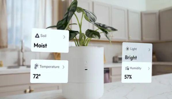 CES 2025:众多创新科技亮相,令人赞叹不已