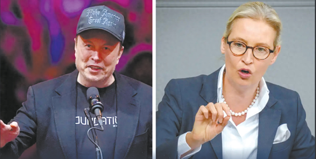 美媒:马斯克连线德国选择党主席,欧盟出手调查