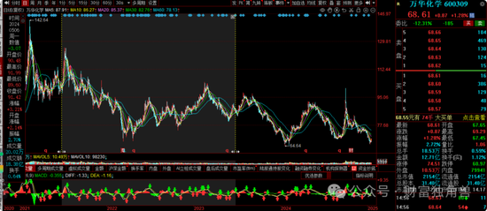 大成基金杨挺旗下基金3年来亏44%,基民抱怨押注医药赛道难见起色