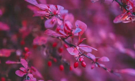 东吴策略:AI“东升”,新周期开启