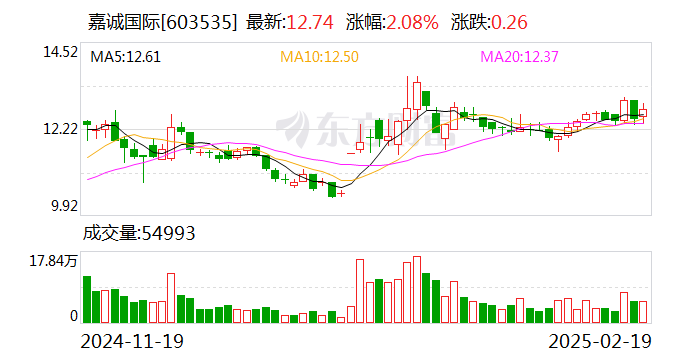 嘉诚国际:2024年净利润同比增长24.53%