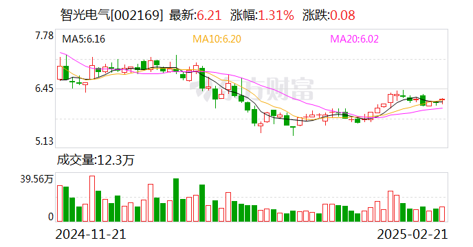 智光电气:管理层将提升主营规模和利润率,处理低效资产改善业绩