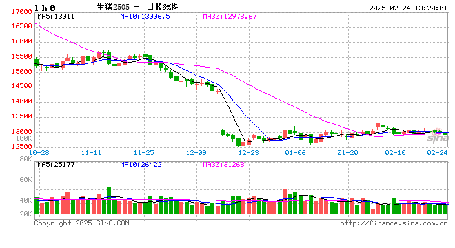 长安期货刘琳:基本面供需宽松 猪价或延续承压偏弱