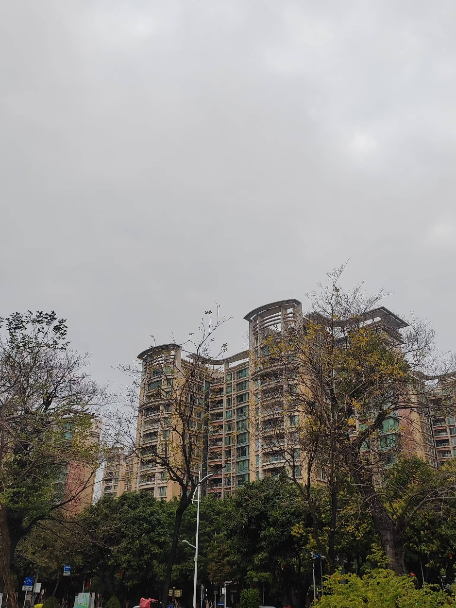 广州楼市,最新动向