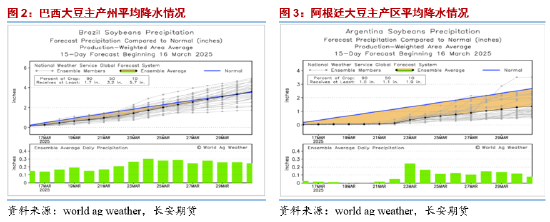 长安期货胡心阁:关税情绪释放交易逻辑回归基本面 油脂稳中偏强