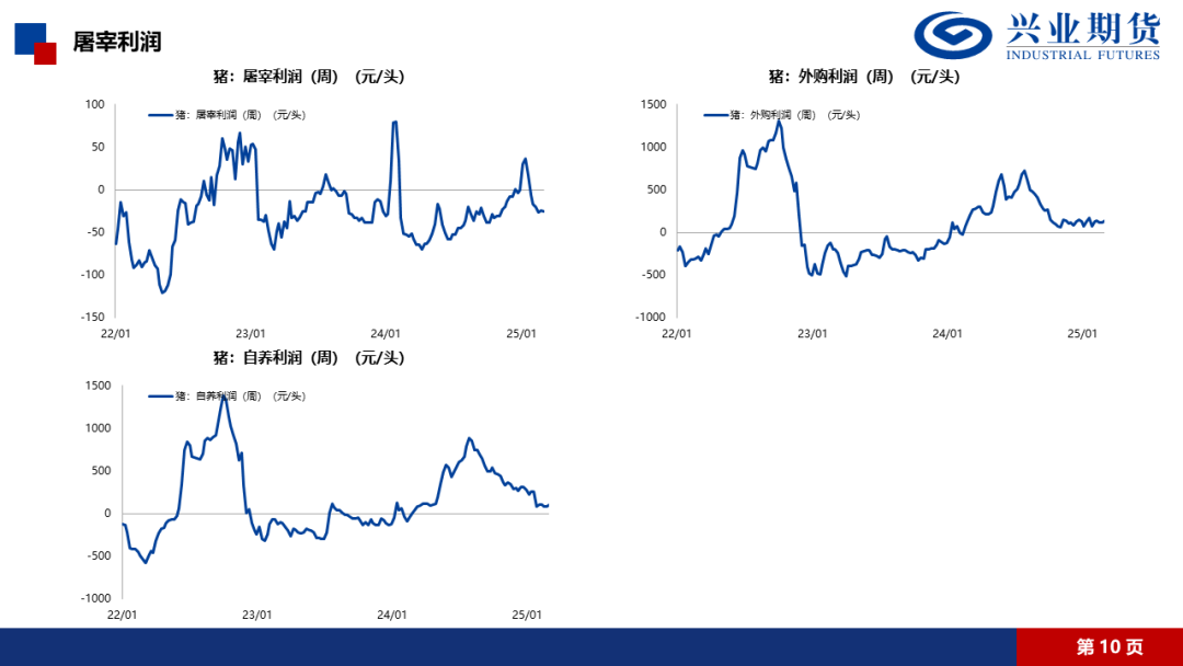 【兴期研究·品种聚焦】生猪:消费需求预计改善,下方仍有支撑