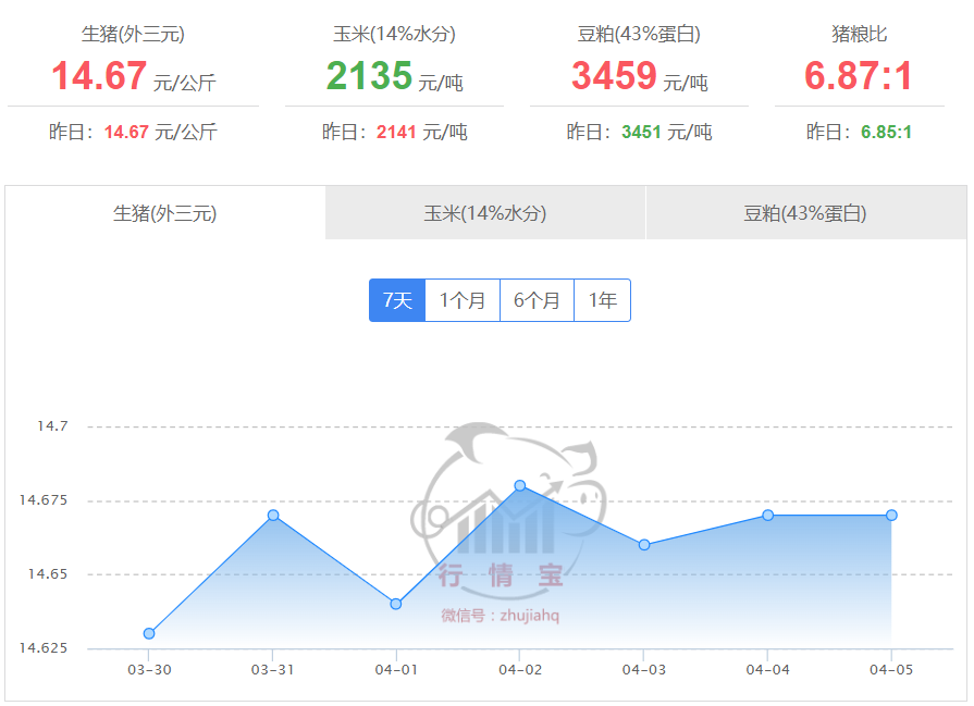 2025年4月6日国内生猪价格一览