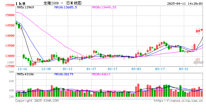 卓创资讯：3月生猪出栏增加，4月或仍维持增长趋势