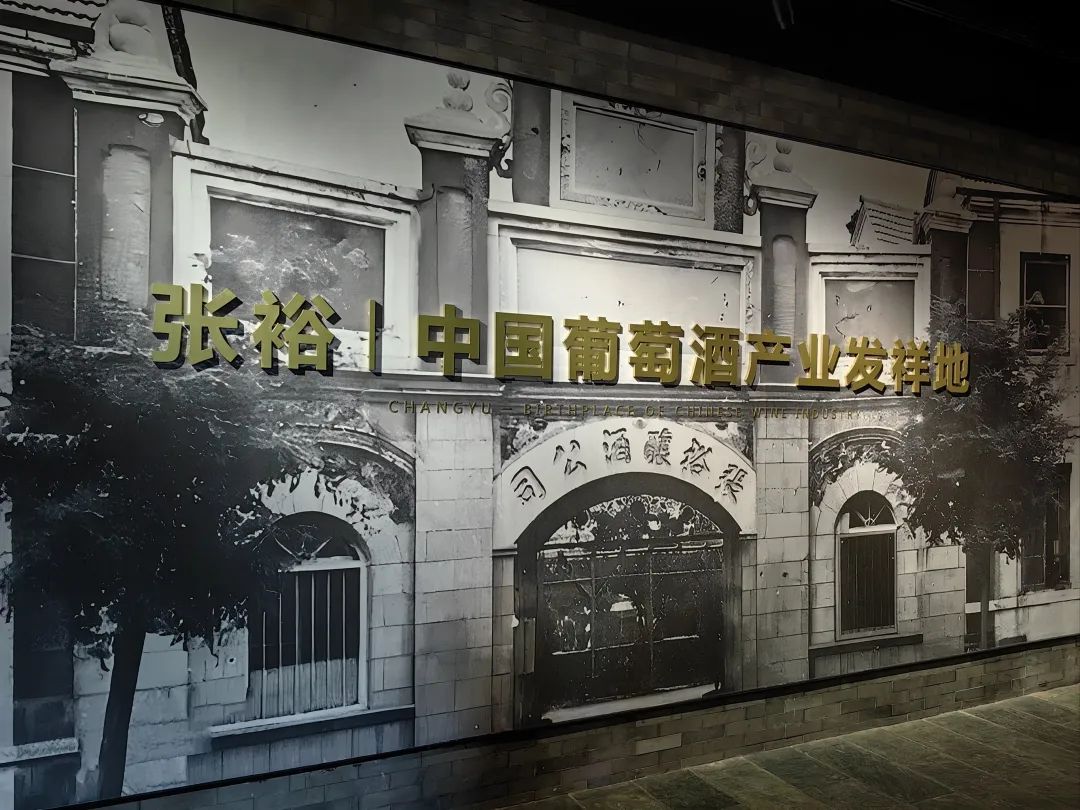 张裕总经理孙健直面困境:战略失误与市场脱节导致业绩大跌