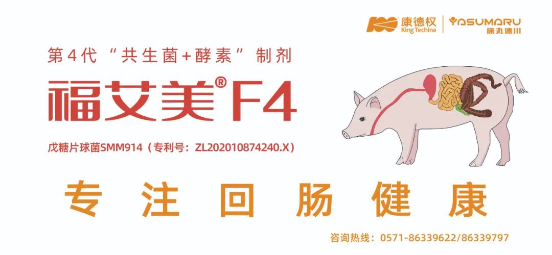 禾丰股份完成13家企业收购,完善白羽肉鸡业务整体布局!丨总投资超12亿元,立华在广西共建屠宰加工项目