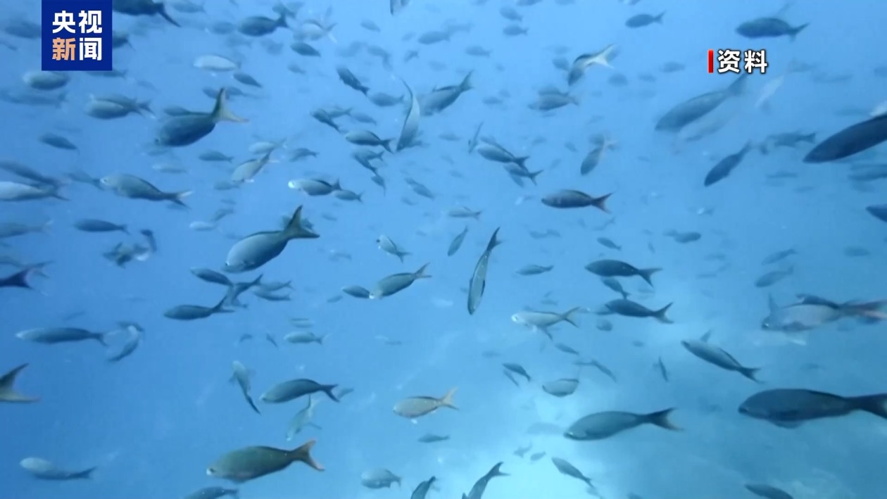 以军瞄准伊朗布什尔核电站？俄警告或酿切尔诺贝利级核灾难