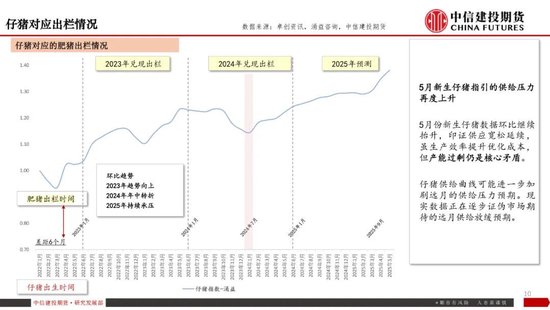 【生猪旬报】“反内卷”强预期的阶段性证伪?
