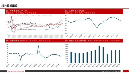 【生猪旬报】“反内卷”强预期的阶段性证伪?