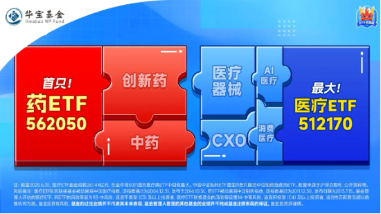 “支付松绑+技术出海+需求刚性”黄金三角驱动,药ETF(562050)逆市涨1%!丽珠集团、华东医药领涨