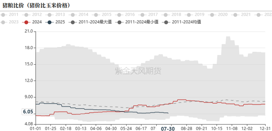 生猪：政策影响近弱远强