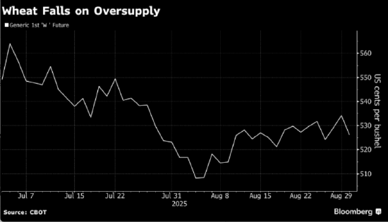 小麦期货承压下跌 全球供应前景向好